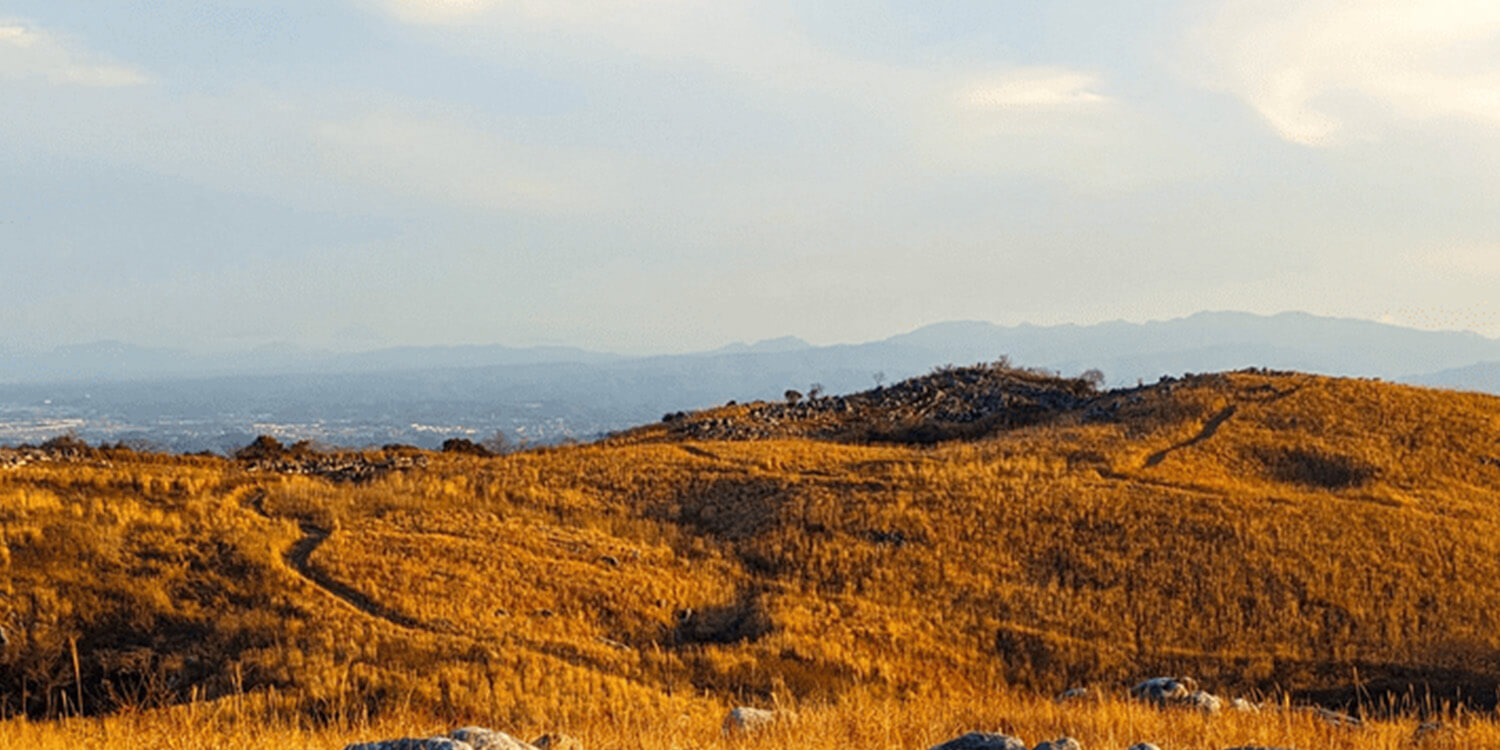 福岡|SUBARUオーナーのためのドライブアプリ SUBAROAD