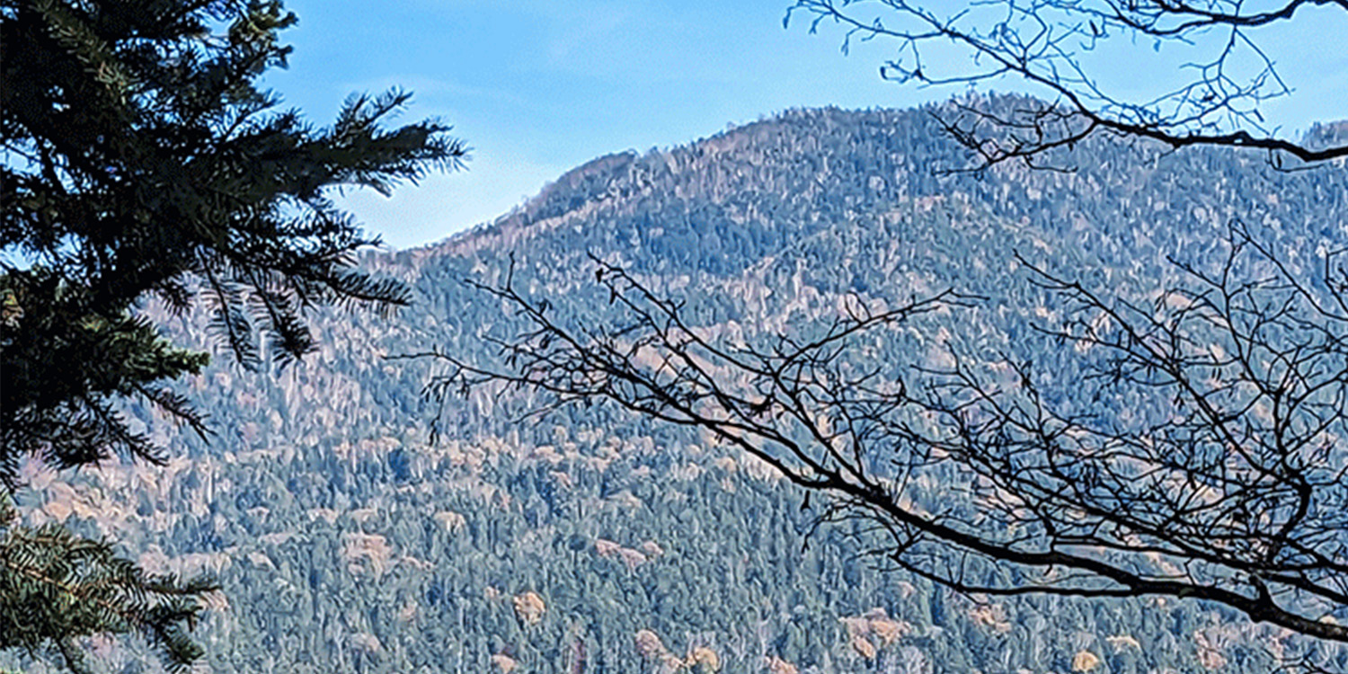 上士幌｜SUBARUオーナーのためのドライブアプリ SUBAROAD