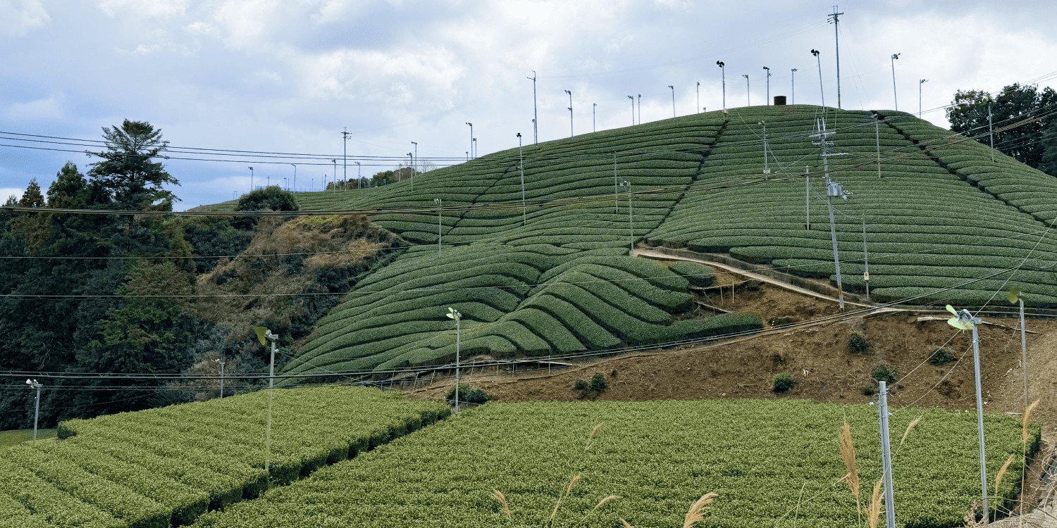 京阪奈｜SUBARUオーナーのためのドライブアプリ SUBAROAD