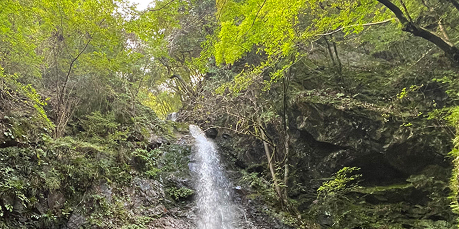 奥多摩|SUBARUオーナーのためのドライブアプリ SUBAROAD